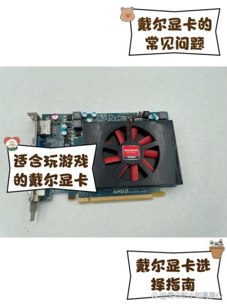 戴尔显卡怎么样_戴尔显卡值得买吗-第1张图片-俊逸知识馆