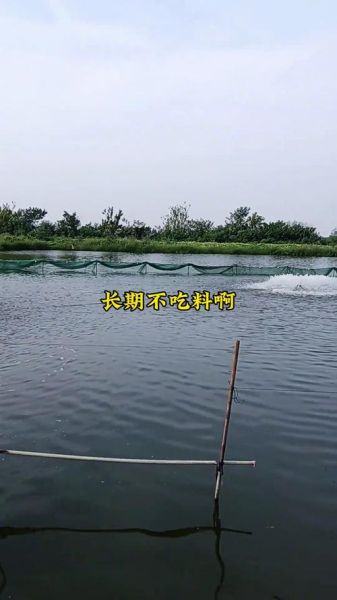水产养殖什么最赚钱_新手如何入门-第2张图片-俊逸知识馆
