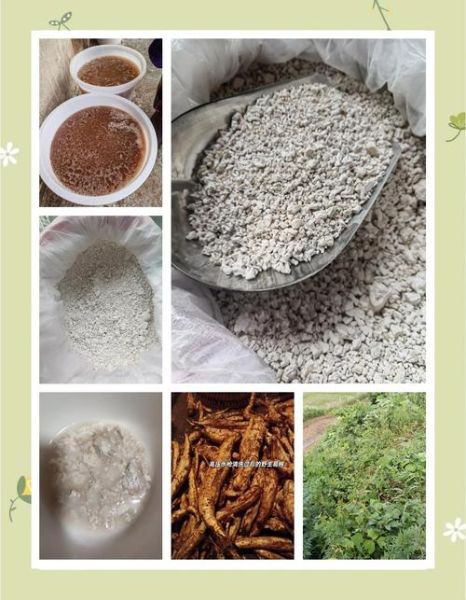 葛根粉多少钱一斤_葛根粉价格为什么差别大-第1张图片-俊逸知识馆