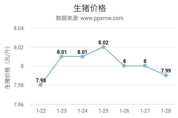 猪肉价格为什么上涨_未来走势如何-第3张图片-俊逸知识馆 猪肉价格为什么上涨_未来走势如何-第3张图片-俊逸知识馆
