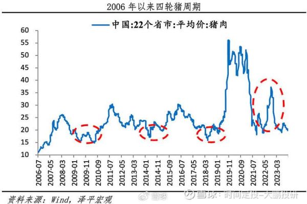 猪肉价格为什么上涨_未来走势如何-第1张图片-俊逸知识馆 猪肉价格为什么上涨_未来走势如何-第1张图片-俊逸知识馆