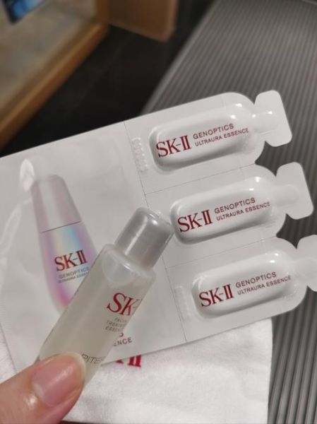 sk怎么样_新手入门sk需要准备什么-第3张图片-俊逸知识馆