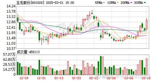 玉龙股份股票怎么样_玉龙股份未来走势预测-第2张图片-俊逸知识馆