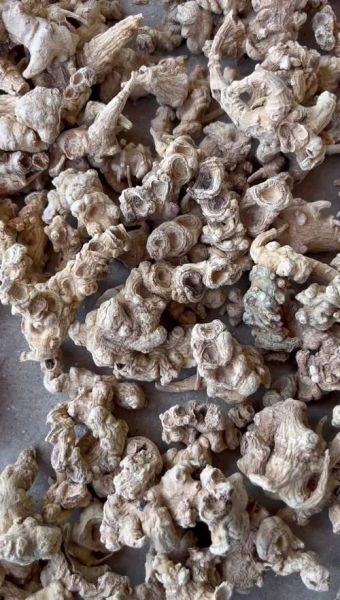 三七市场价格走势_三七多少钱一斤-第3张图片-俊逸知识馆