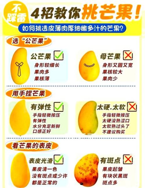 芒果多少钱一斤_芒果怎么挑才甜-第1张图片-俊逸知识馆