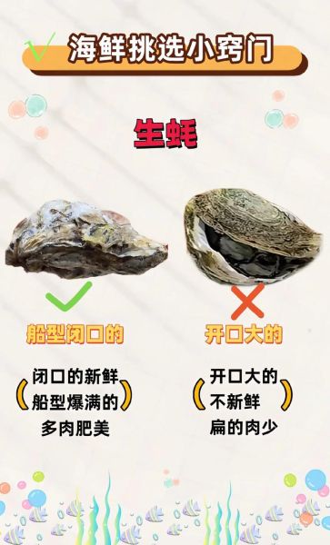 生蚝怎么挑选新鲜_生蚝批发价格多少钱一斤-第2张图片-俊逸知识馆