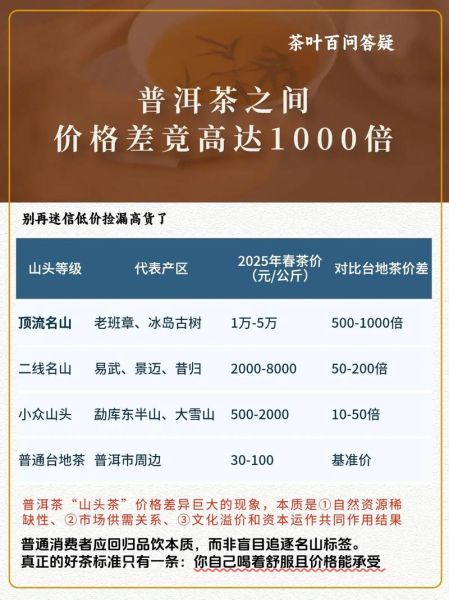 普洱茶怎么选_普洱茶价格为什么差距大-第1张图片-俊逸知识馆