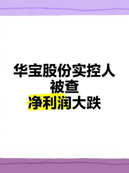 华宝国际股票怎么样_华宝国际股票值得买吗-第2张图片-俊逸知识馆