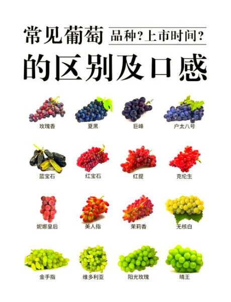 葡萄价格多少钱一斤_葡萄怎么挑选才甜-第3张图片-俊逸知识馆