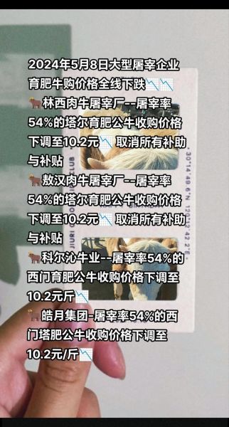 牛市场价格走势_如何挑选健康牛犊-第2张图片-俊逸知识馆