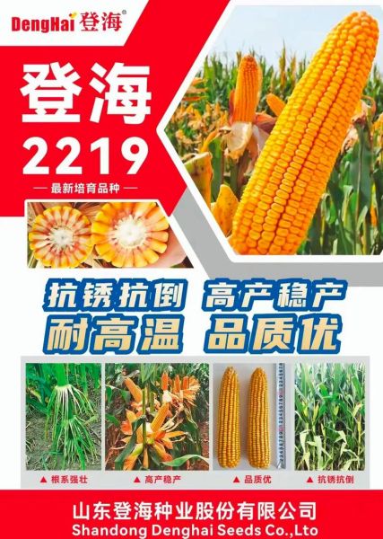 登海种业股票值得买吗_登海种业股价走势分析-第2张图片-俊逸知识馆 登海种业股票值得买吗_登海种业股价走势分析-第2张图片-俊逸知识馆