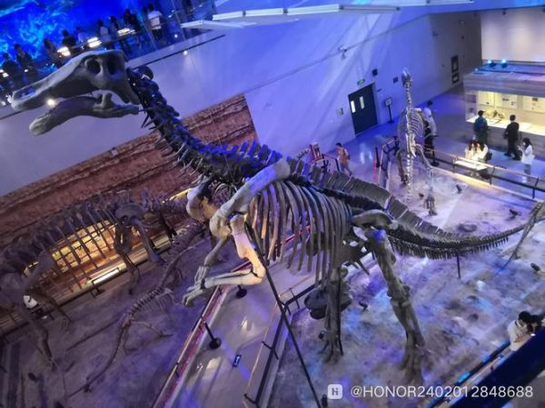 北京恐龙博物馆门票价格_北京恐龙博物馆开放时间-第3张图片-俊逸知识馆