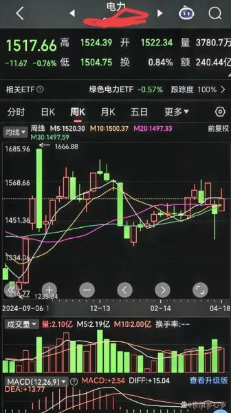 国电投股票值得买吗_国电投股票未来走势-第3张图片-俊逸知识馆