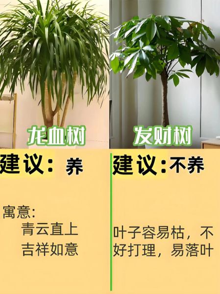 2024年养什么最赚钱_新手如何低成本起步-第1张图片-俊逸知识馆