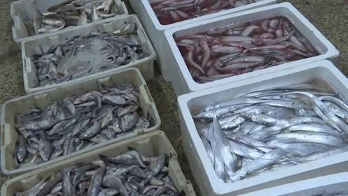 龙头市场在哪里_龙头市场怎么进货-第2张图片-俊逸知识馆 龙头市场在哪里_龙头市场怎么进货-第2张图片-俊逸知识馆