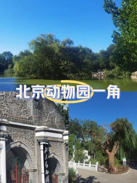 北京动物园好玩吗_值得去吗-第2张图片-俊逸知识馆 北京动物园好玩吗_值得去吗-第2张图片-俊逸知识馆