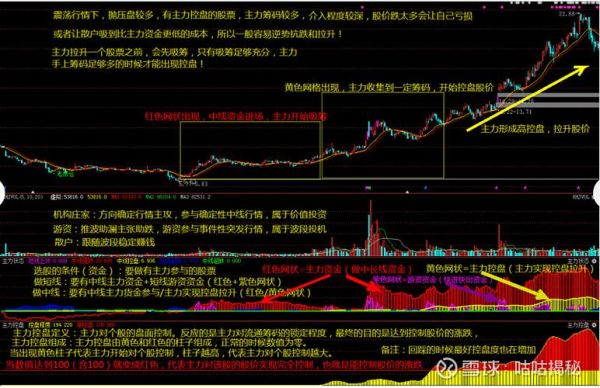 浙江富润股票怎么样_浙江富润股票未来走势-第2张图片-俊逸知识馆 浙江富润股票怎么样_浙江富润股票未来走势-第2张图片-俊逸知识馆