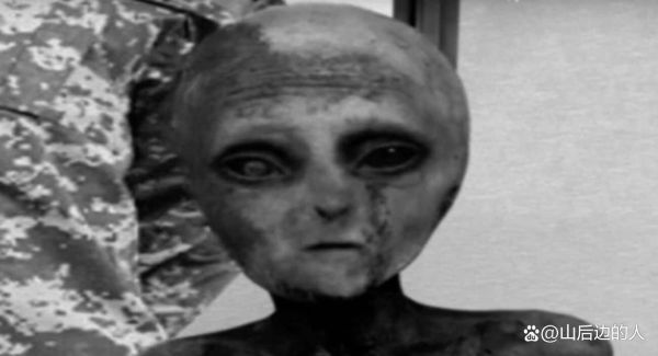 外星人存在吗_外星人长什么样-第1张图片-俊逸知识馆