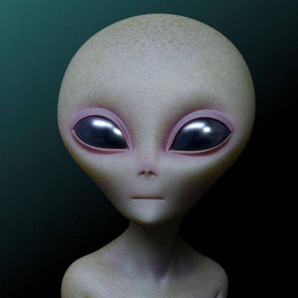 外星人存在吗_外星人长什么样-第2张图片-俊逸知识馆