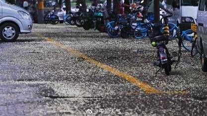 北京明天天气怎么样_需要带伞吗-第2张图片-俊逸知识馆