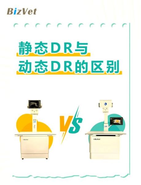 dr是什么意思_dr和医生有什么区别-第2张图片-俊逸知识馆