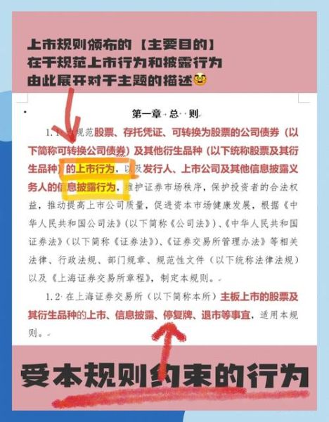 上交所股票上市规则_首次公开发行条件-第1张图片-俊逸知识馆