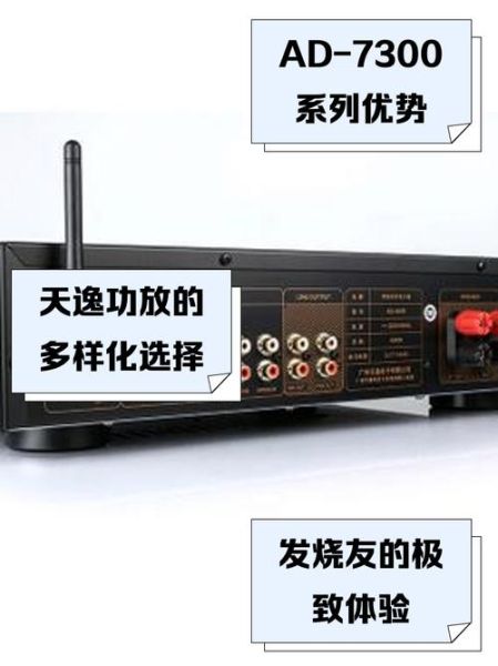 天逸功放怎么样_天逸功放值得买吗-第2张图片-俊逸知识馆