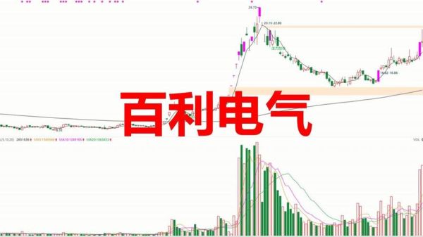 百利电气股票怎么样_百利电气股票值得长期持有吗-第1张图片-俊逸知识馆