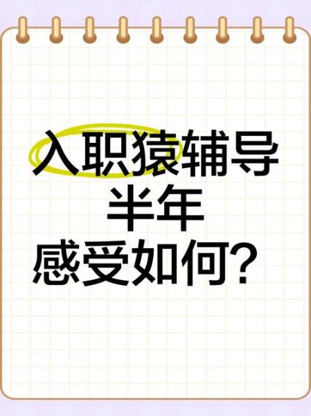 猿辅导待遇怎么样_猿辅导薪资结构-第2张图片-俊逸知识馆