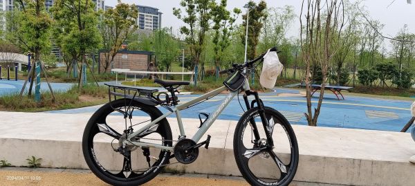 凤凰自行车怎么样_凤凰自行车质量好吗-第2张图片-俊逸知识馆