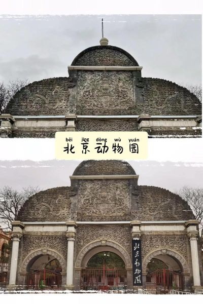 北京动物园几点开门_北京动物园几点关门-第1张图片-俊逸知识馆 北京动物园几点开门_北京动物园几点关门-第1张图片-俊逸知识馆