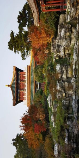 北京园博园门票多少钱_北京园博园门票预约官网-第1张图片-俊逸知识馆