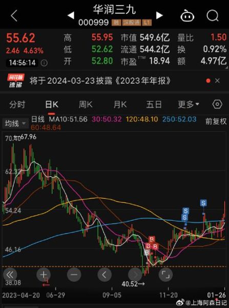 三九股票怎么样_三九股票值得长期持有吗-第2张图片-俊逸知识馆