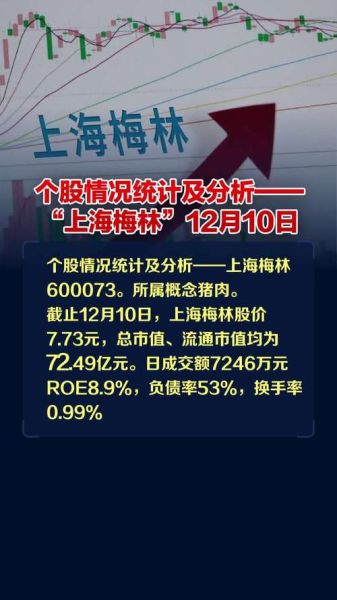 上海梅林股票值得长期持有吗_上海梅林股票未来走势分析-第1张图片-俊逸知识馆 上海梅林股票值得长期持有吗_上海梅林股票未来走势分析-第1张图片-俊逸知识馆