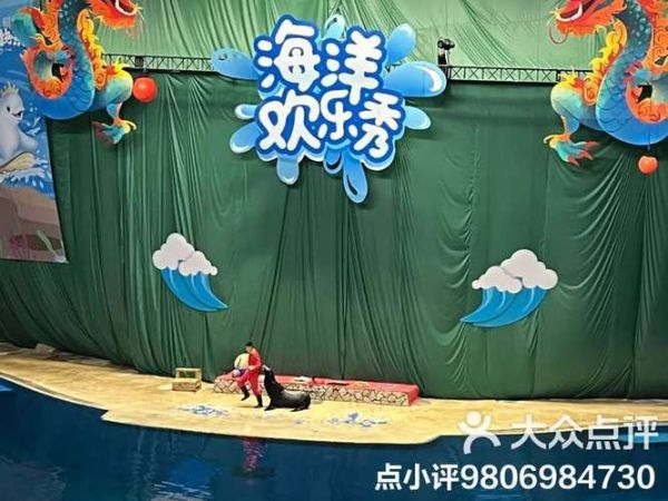 北京动物园海洋馆表演时间_几点开始-第2张图片-俊逸知识馆