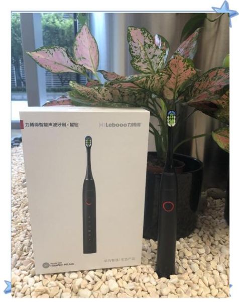 力博得电动牙刷怎么样_值得买吗-第2张图片-俊逸知识馆