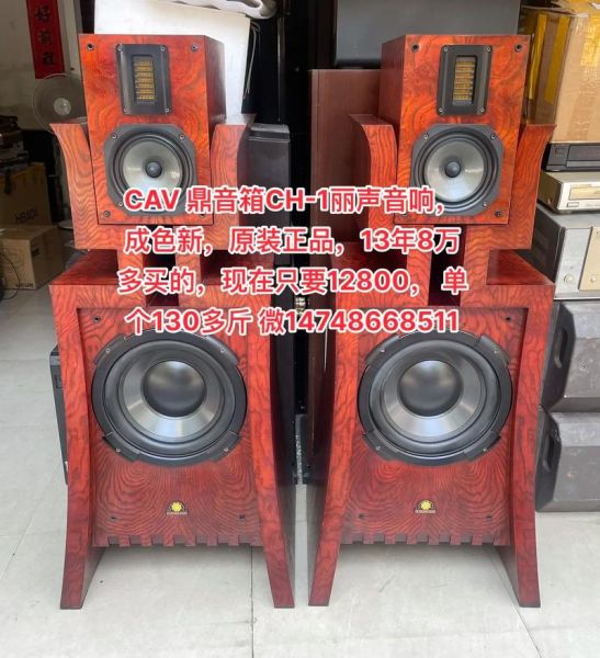 丽声音响怎么样_丽声音响值得买吗-第1张图片-俊逸知识馆