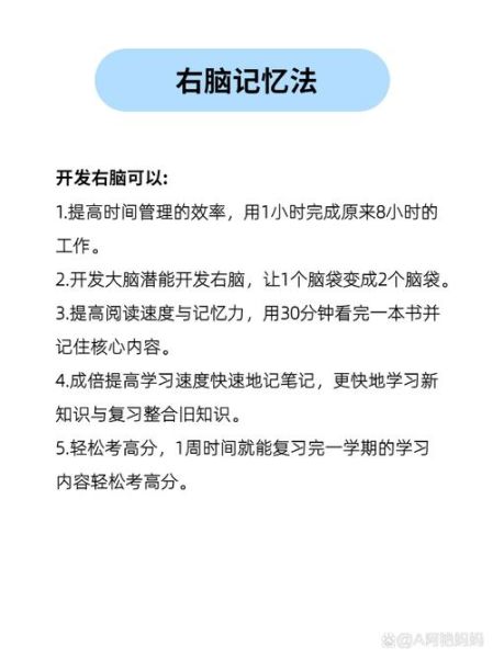 怎么样大脑_如何提高大脑记忆力-第1张图片-俊逸知识馆