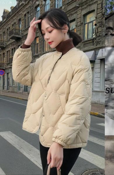 白鸭绒羽绒服怎么样_白鸭绒羽绒服保暖吗-第1张图片-俊逸知识馆