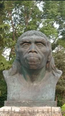 北京人图片哪里找_北京老照片高清下载-第1张图片-俊逸知识馆