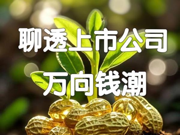 万向集团股票怎么样_万向集团股票值得买吗-第1张图片-俊逸知识馆 万向集团股票怎么样_万向集团股票值得买吗-第1张图片-俊逸知识馆