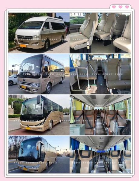 北京校车租赁公司哪家好_北京校车租赁价格多少钱-第1张图片-俊逸知识馆