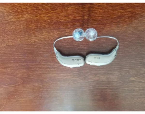 奥迪康助听器怎么样_奥迪康助听器价格贵吗-第2张图片-俊逸知识馆