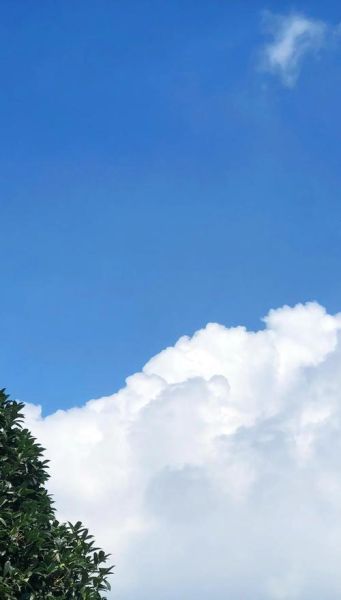 8P拍照怎么样_苹果8P拍照效果好吗-第1张图片-俊逸知识馆