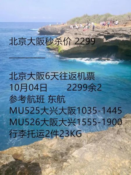 北京飞大阪航班价格_北京到大阪机票怎么买最便宜-第1张图片-俊逸知识馆