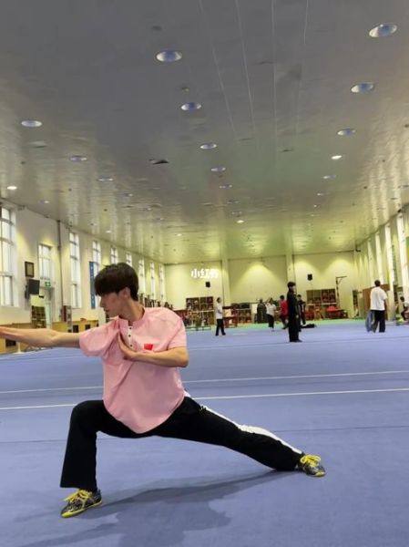北京体育大学武术学院怎么样_武术专业学什么-第1张图片-俊逸知识馆