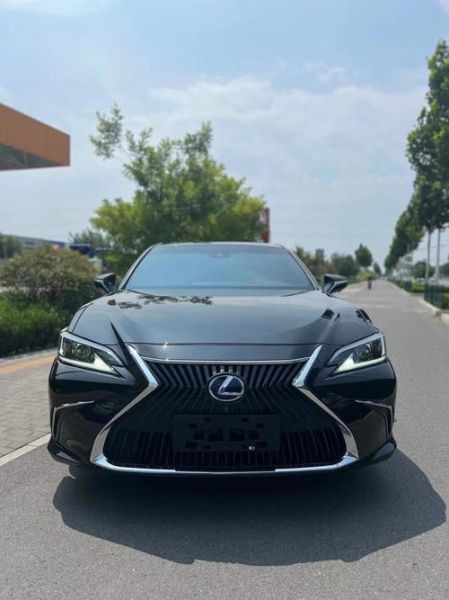 es300怎么样_es300值得买吗-第1张图片-俊逸知识馆