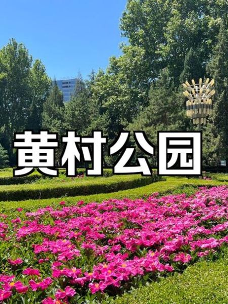 北京黄村在哪里_北京黄村有什么好玩的-第1张图片-俊逸知识馆 北京黄村在哪里_北京黄村有什么好玩的-第1张图片-俊逸知识馆