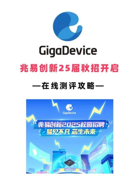 兆易创新怎么样_兆易创新值得投资吗-第2张图片-俊逸知识馆 兆易创新怎么样_兆易创新值得投资吗-第2张图片-俊逸知识馆