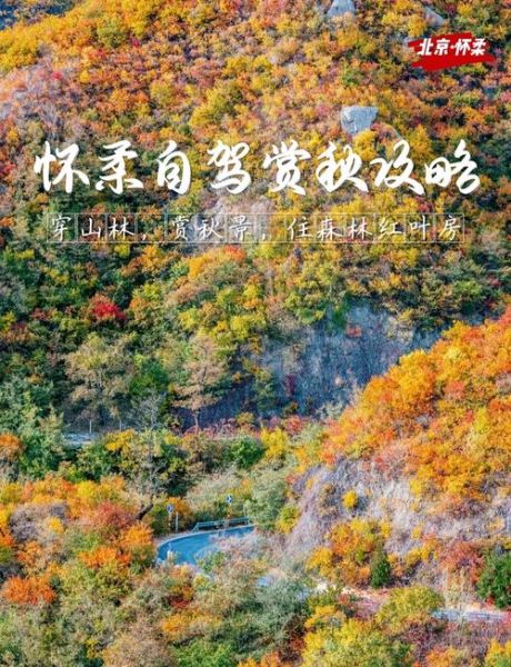 北京秋天哪里最美_北京秋天旅游攻略-第2张图片-俊逸知识馆 北京秋天哪里最美_北京秋天旅游攻略-第2张图片-俊逸知识馆